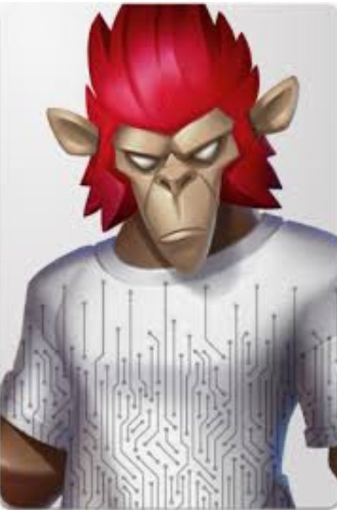 Adam Faz tweet media