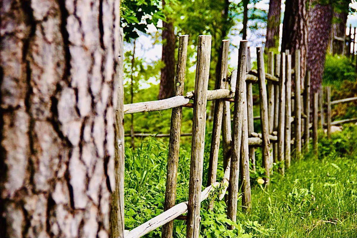 GunRoswall's tweet photo. #fences #obstacles #dividers #hopover #greenergrass https://t.co/xruUvc6Xka