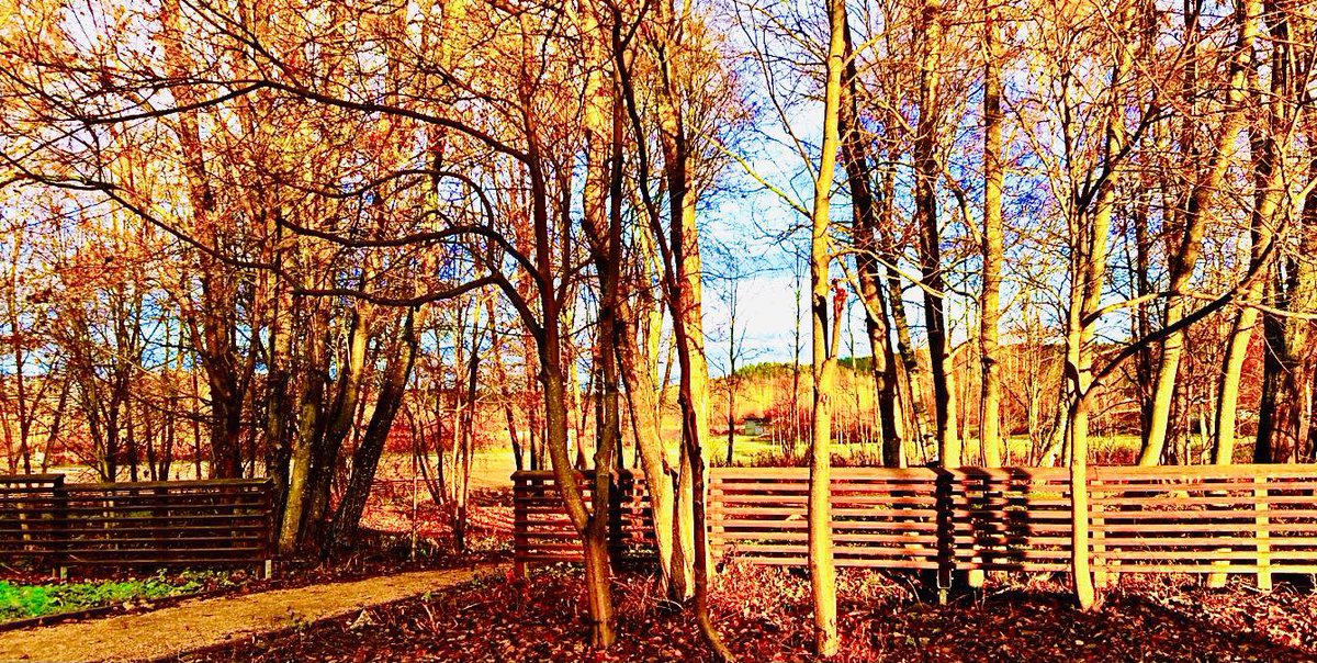 GunRoswall's tweet photo. #fences #obstacles #dividers #hopover #greenergrass https://t.co/xruUvc6Xka