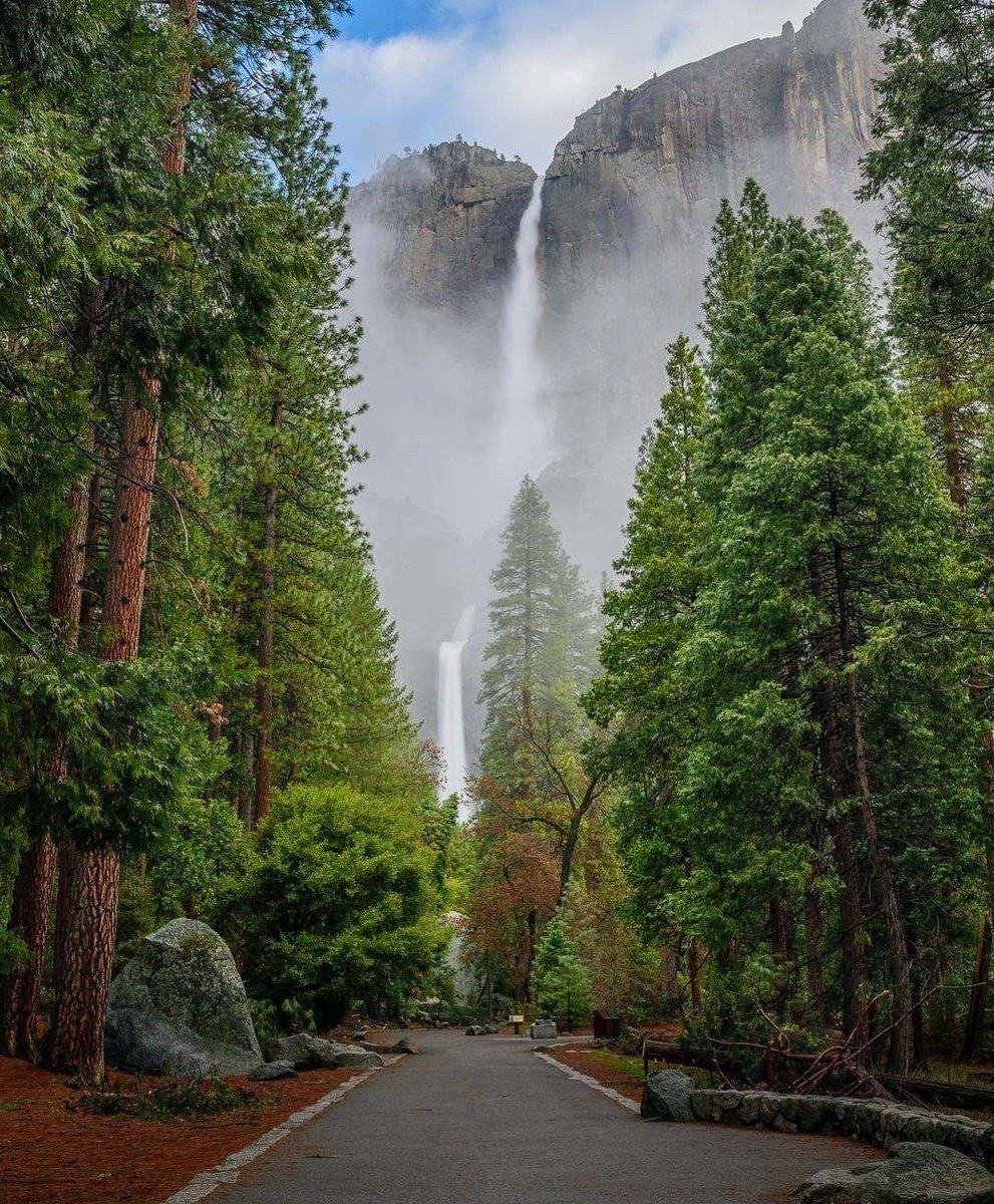 Chloecloudsss's tweet photo. Happy Tuesday dear friends 🌿💚🌿 https://t.co/v2KwXkNAg1