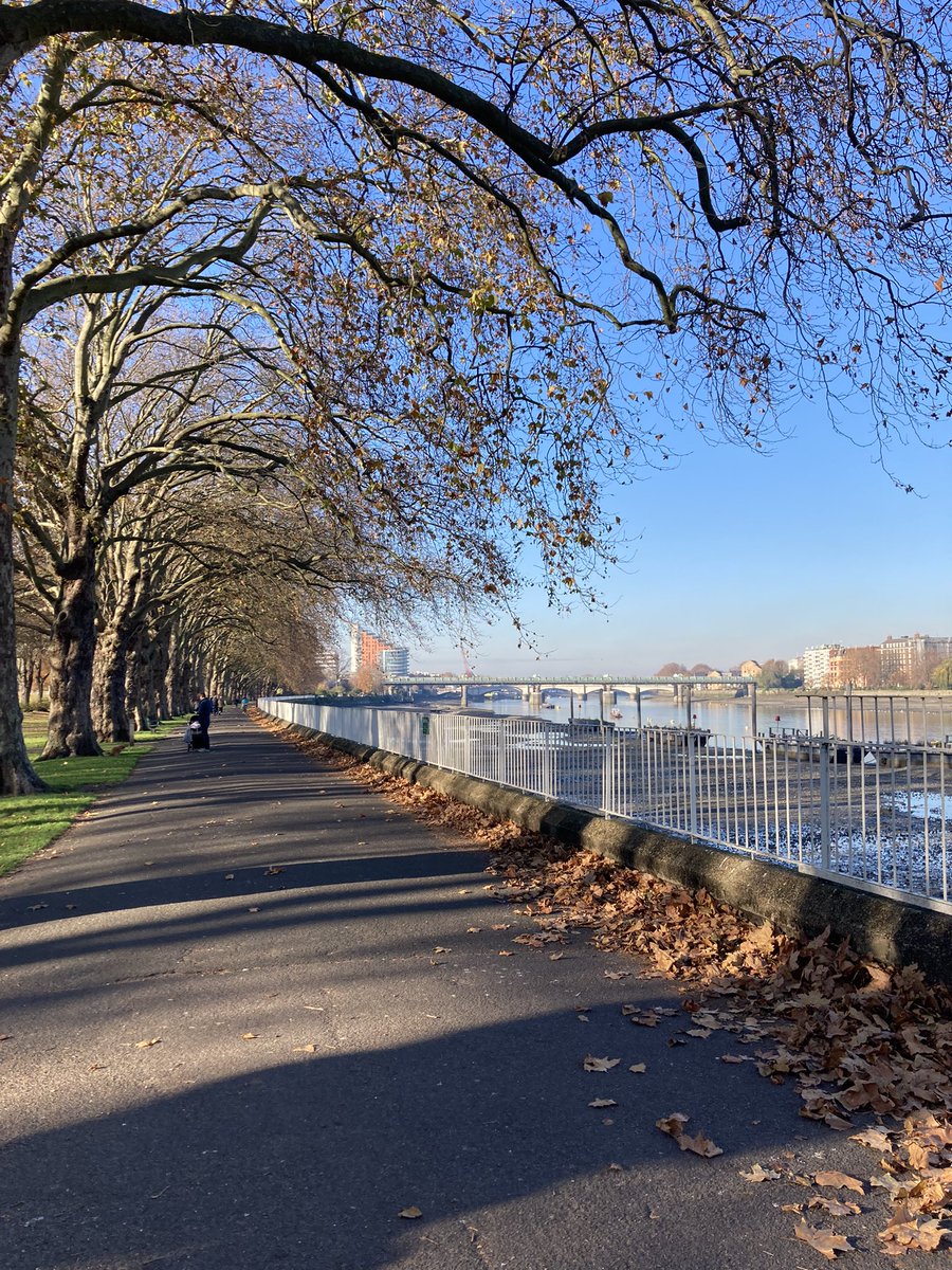 Helena Whittaker tweet media