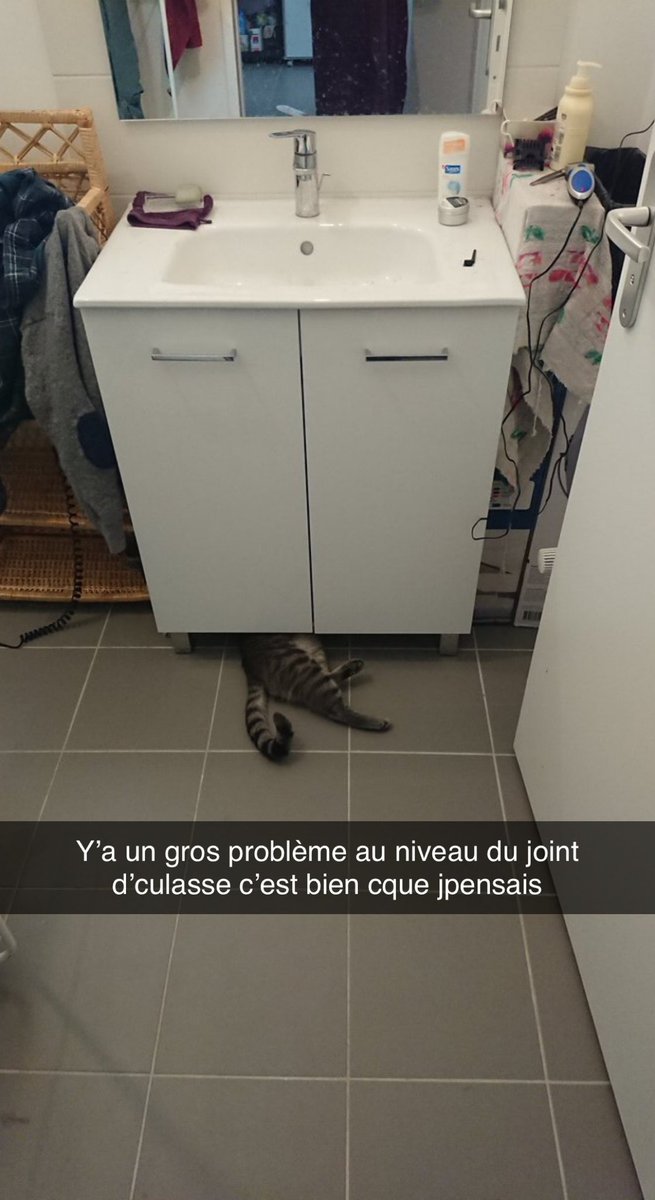 IDIOTS DU VILLAGE tweet media