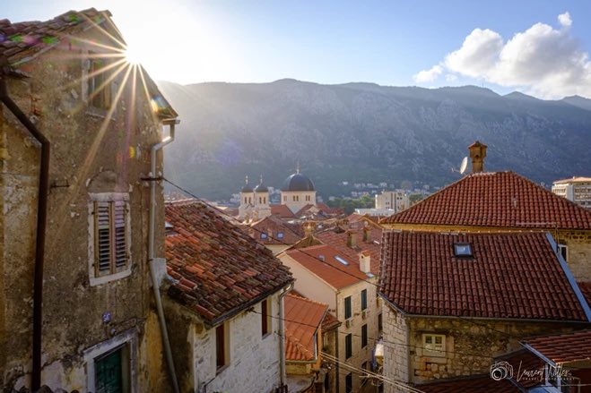 360_monte's tweet photo. Morning world ☀️
.
.
.

Photo by: @societyofexploration 🙏🏻

See more at 👇🏻

https://t.co/oTcgr98nRt

#kotor #montenegro #bokabay #bokakotorska #tours #travel #360monte #travelagency #visitmontenegro #gomontenegro #mojacrnagora #tokotor #europe #europeanbestdestinations https://t.co/mLqDIu62eF