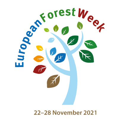 UNECE's tweet photo. This week is the 6th #EuropeanForestWeek🌲! Jointly organized by @FAO and @UNECE, it provides a unique opportunity to increase the forest sector's visibility & shape pan-European & global discussions related to forests.
Discover our support https://t.co/e9R6939OQj https://t.co/GqfwQkiST5