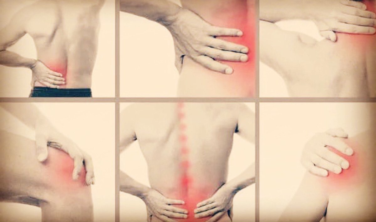 vcalderonosteo's tweet photo. El dolor de espalda puede tener diferentes orígenes: mecánico, visceral, emocional. ¿Sabes dónde está el origen de tu dolor? Pon un osteópata en tu vida.
#PonUnOsteópataEnTuVida #andrewtaylorstill #osteopata #osteópata #osteopath #osteopathy #osteopatia #osteopatía #violafrymann https://t.co/lPF2fir1uu