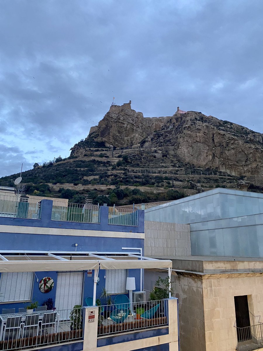 EAvilaLab's tweet photo. Very honoured of been part of 1st #3DPhotocat at @UA_Universitat Nice to be back at conferences in such encouranging environment. Thanks @Josilves and amazing crew💙 for organising and hosting us. @MOFCambridge https://t.co/J8yMP6ekx8
