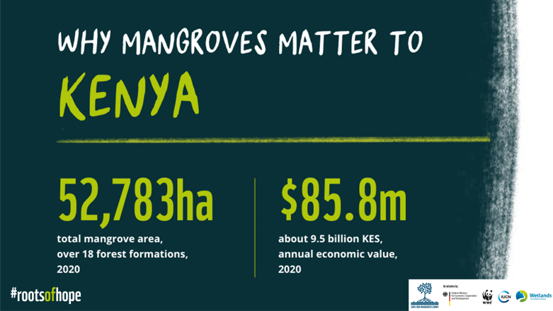 'Mangroves and coastal communities in Kenya are inseparable.”- @Frankfao, @IucnE  

#Mangroves in 🇰🇪 are fundamental to the economy, generating revenue from fishing, fuel, ecotourism and honey.  

Learn more in our white paper: bit.ly/3Hmrzxw 

#RootsofHope #COP10NC
