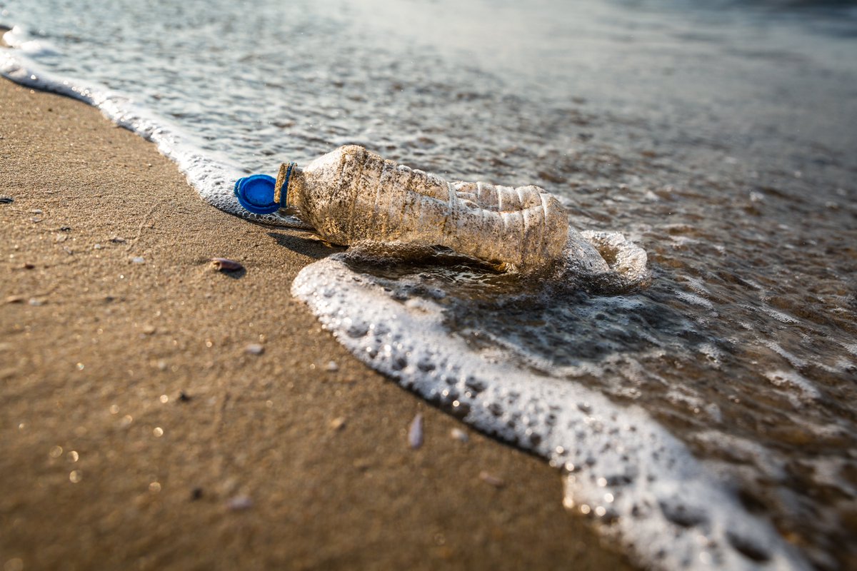 Mer et Pêche tweet media