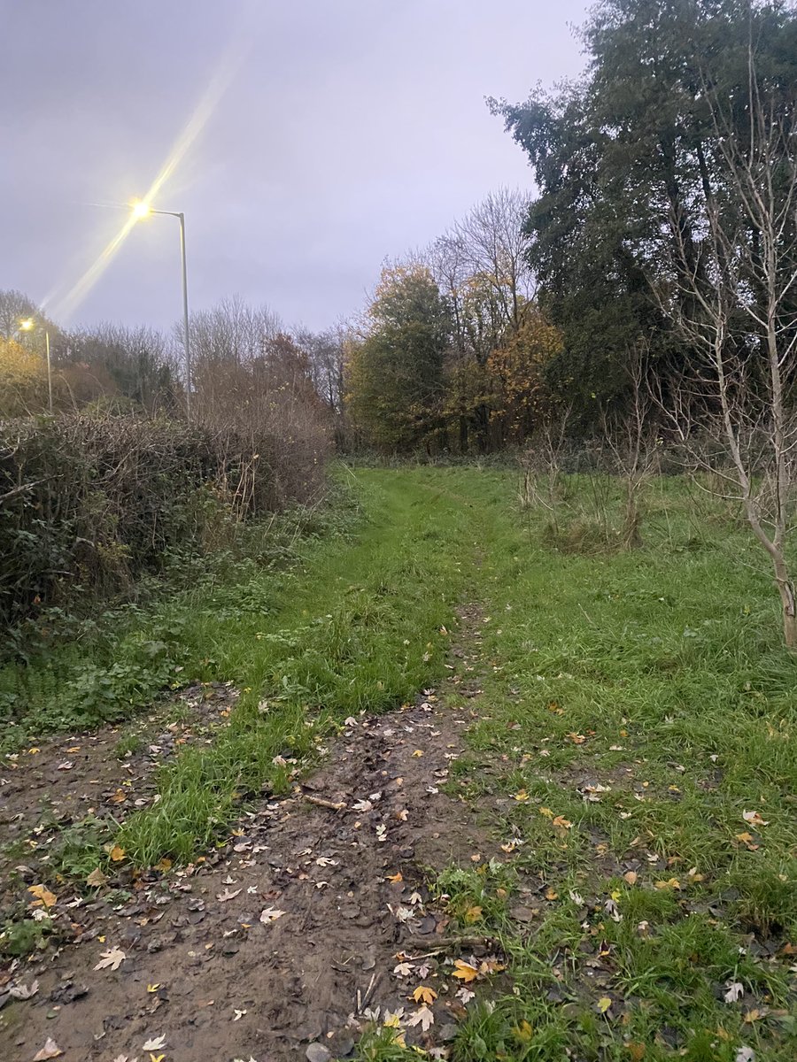 newbelfast's tweet image. Maidin mhaith. Checking out proposed new Park Run Stranmillis route incorporating new bridge with Park Run supremo Matt Shields &amp;amp; bumped into Dennis @DenisTheMurph 🏃🏻🏃🏻🏃🏻