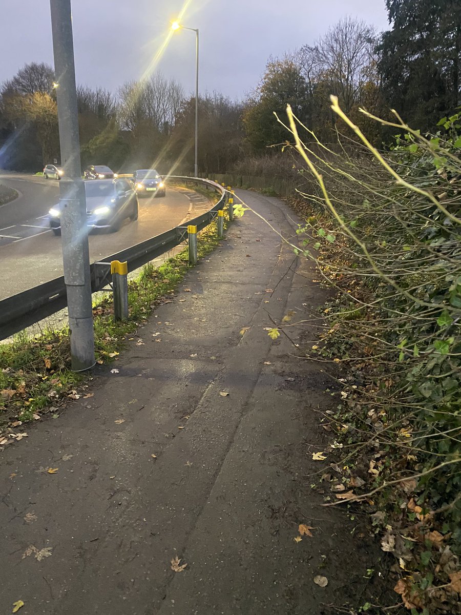 newbelfast's tweet image. Maidin mhaith. Checking out proposed new Park Run Stranmillis route incorporating new bridge with Park Run supremo Matt Shields &amp;amp; bumped into Dennis @DenisTheMurph 🏃🏻🏃🏻🏃🏻