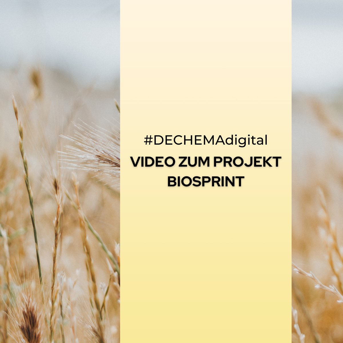 DECHEMA's tweet image. #dechemadigital: Video zum Projekt #BioSPRINT

In einem kurzen Video erläutert das Projekt seine innovativen Ideen zur Verbesserung der Aufwertung der Hemicellulosefraktionen, um diese zur Substitution von Polymeren auf fossiler Basis einzusetzen. 

ow.ly/slbr50GT2Gx