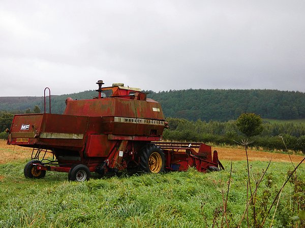 New artwork for sale! - "Combine Harvester" - fineartamerica.com/featured/combi… @fineartamerica