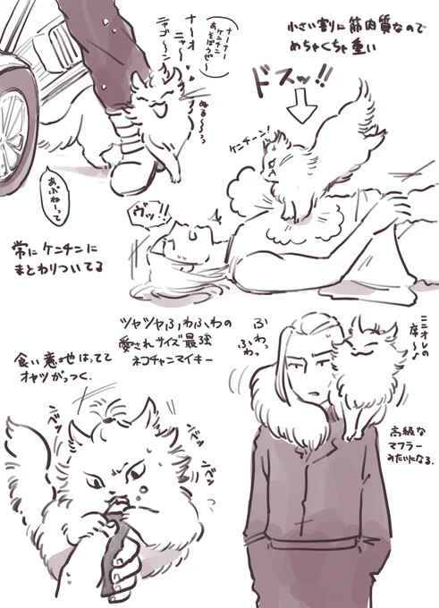 マイ猫とドラケンのは〜とふるストーリーならくがき 