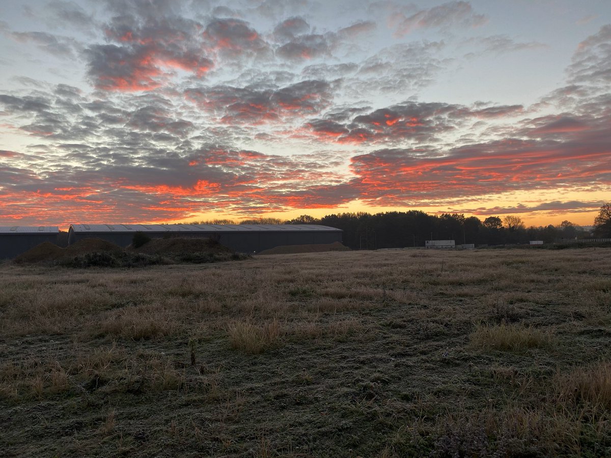 Morning Views 23/11/2021 #frosty #chilly