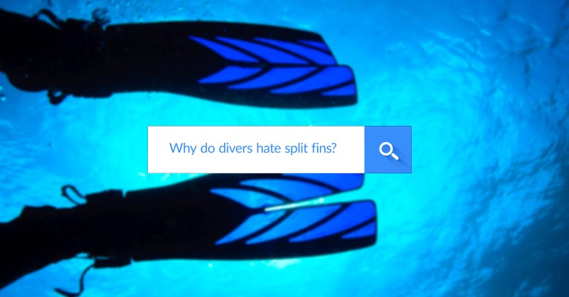 simplyscuba's tweet photo. So why do scuba divers hate split fins? Are scuba diving fins so long? Why do scuba divers wear FLIPPERS! And who invented scuba fins?

#heygoogle #askgoogle #googlequestions #scubadiving #scubadivingquestions #google #simplyscuba #whydodivershatsplitfins