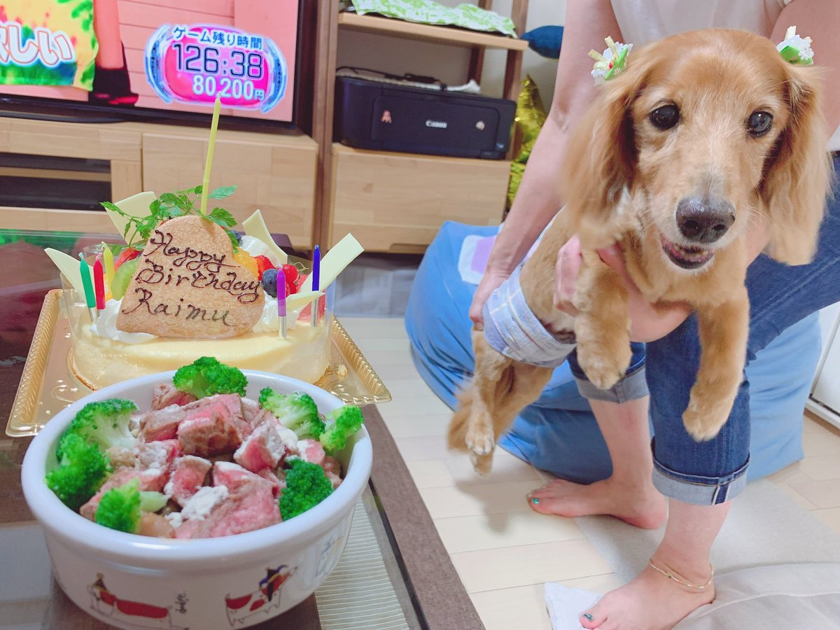 ricchhan's tweet photo. 16年間幸せいっぱいくれてありがとう！！
最後の瞬間まで一緒に居れてよかった！
大好き！ https://t.co/rJOE2oNEjQ