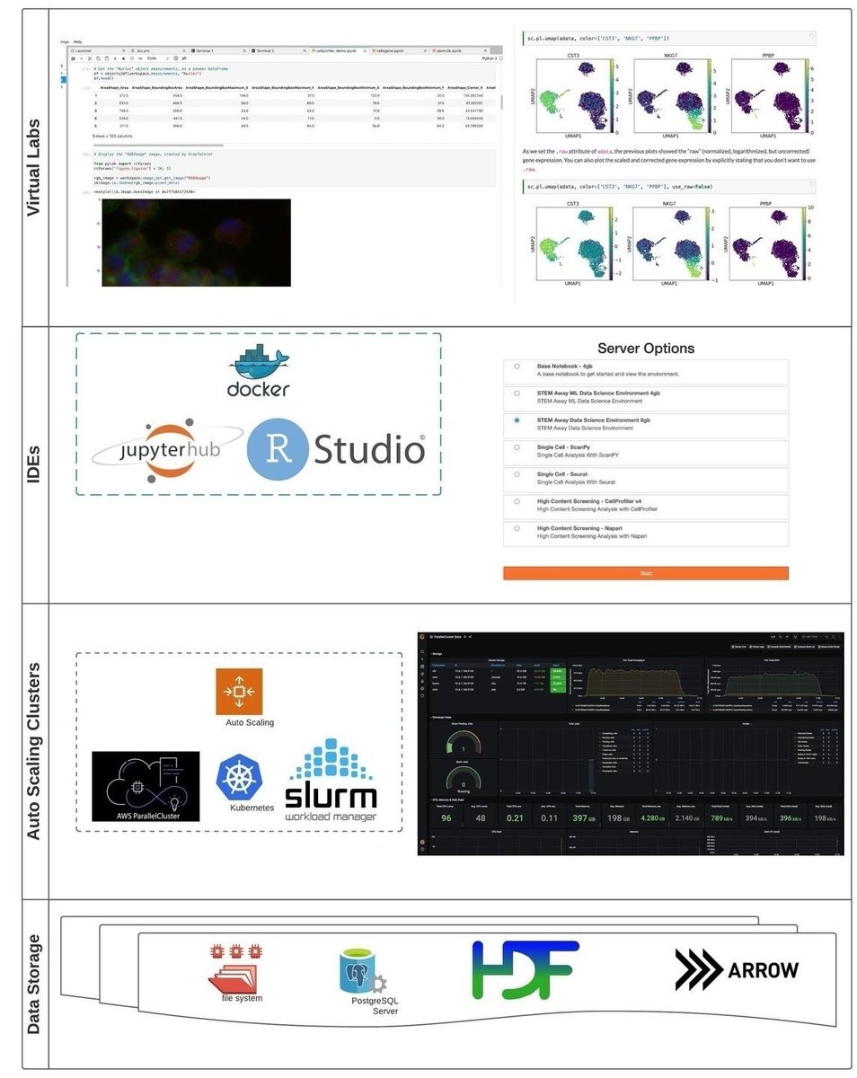 Jillian Rowe tweet media