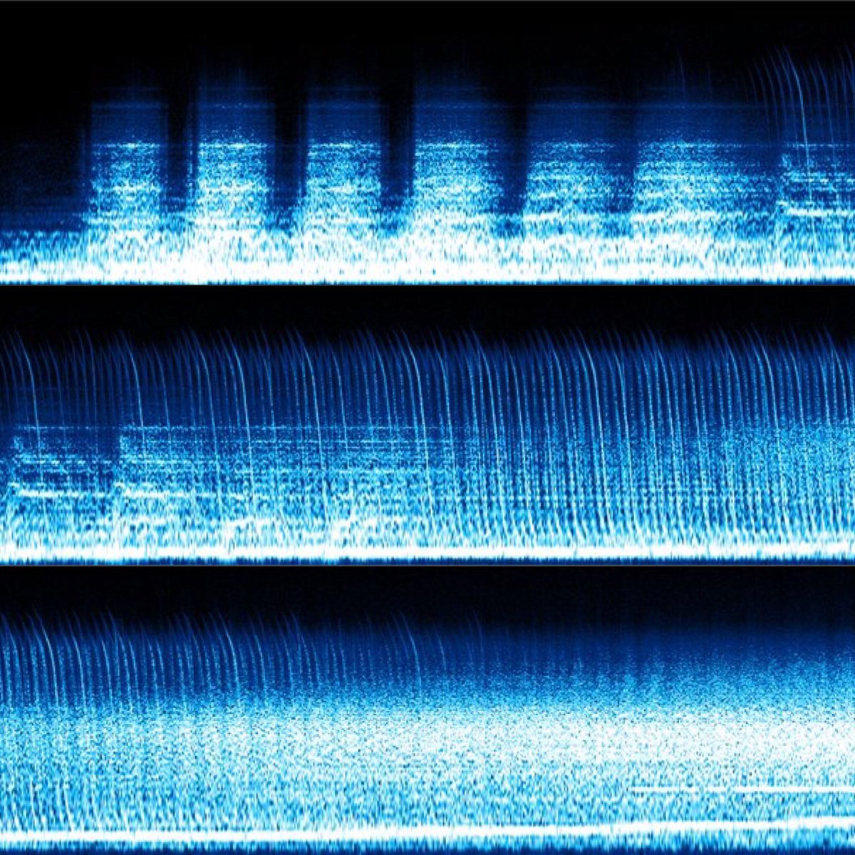 A spectrogram of the Doctor Who TARDIS sound - an image of sound waves showing a recurring blue box.