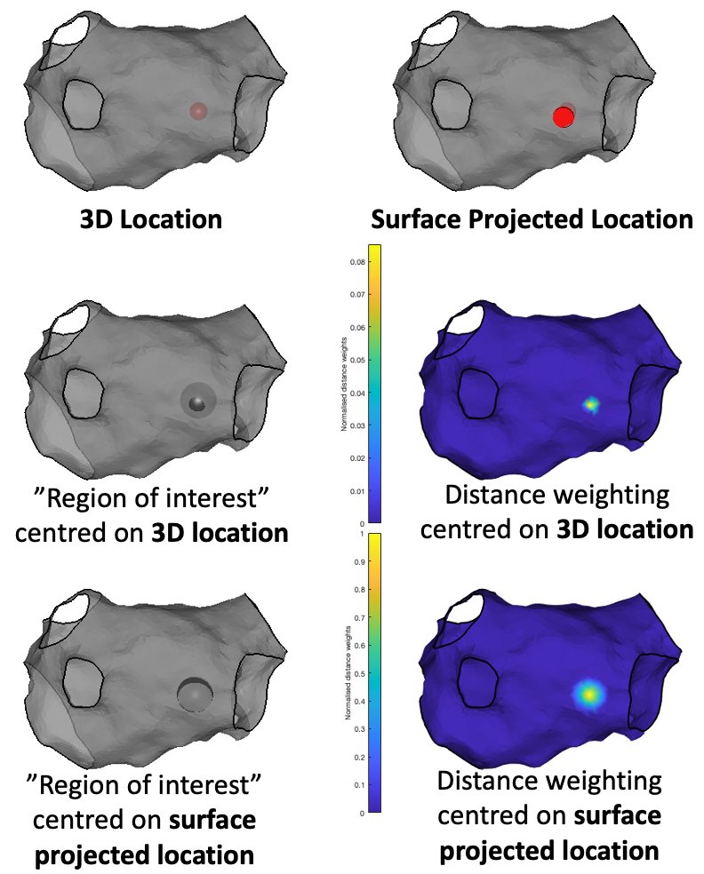 How do you map electrogram recording positions to surface interpolated data? #OpenEP (ow.ly/Mck350GU7xV) now provides several new ways (in beta!). See the Workflow here: ow.ly/hggn50GU7xQ