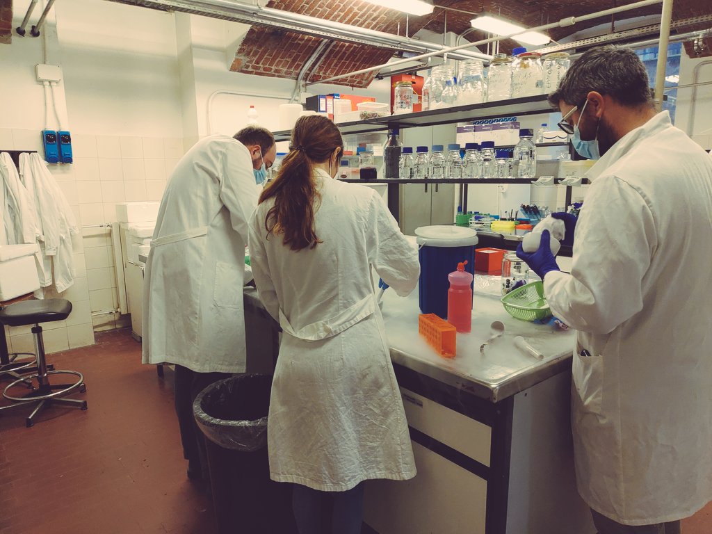 Ricciardi_V94's tweet photo. Differences between clones? 🍇
Are they an Epigenetics matter? 
We are working to find it out! 🔍🧬
First step: grinding of grape berries skins with liquid nitrogen ❄️
What a team these Viticoli!!! https://t.co/zyGBdVqRrE