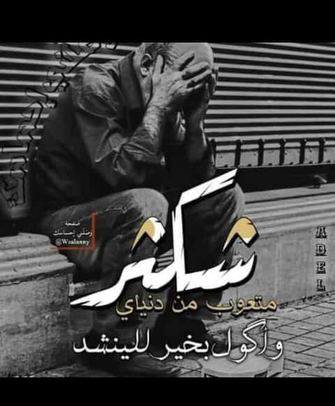 اهتموا وأسعِدُوا مَنْ تَحِبُون ؛ فَالمُوتْ لَا يَستَأذِن أحَدُهُم حِينَ يَقتَربْ