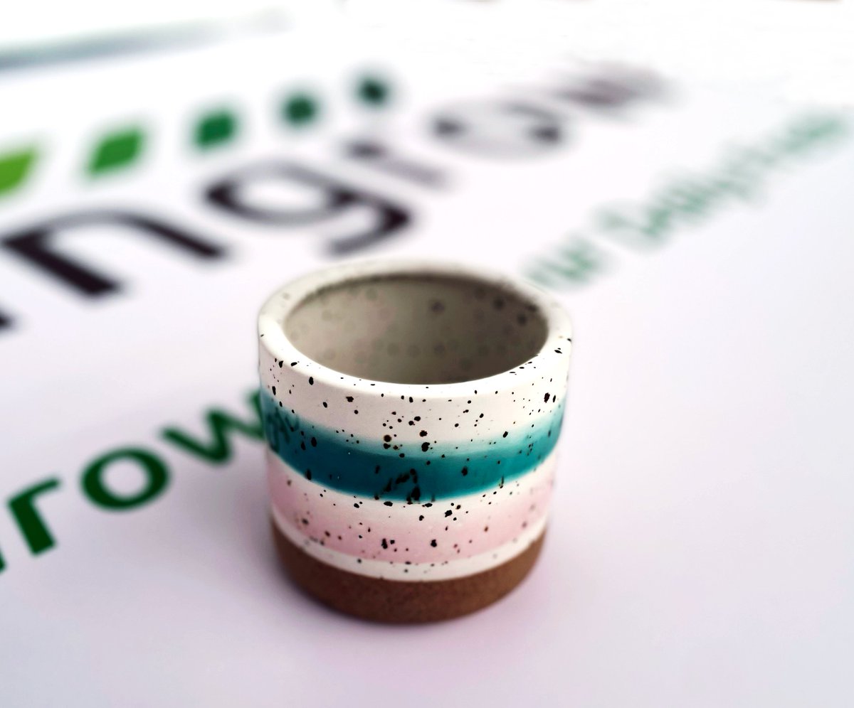 Singrow's Selections of Potted Strawberry Seedling
singrow.sg