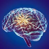 AlzheimerEurope's tweet photo. Alector has presented data from its INFRONT-2 Phase 2 #clinicaltrial for #FrontotemporalDementia at #CTAD21
https://t.co/Hkedy4cMkr https://t.co/ryEXhKuoxa