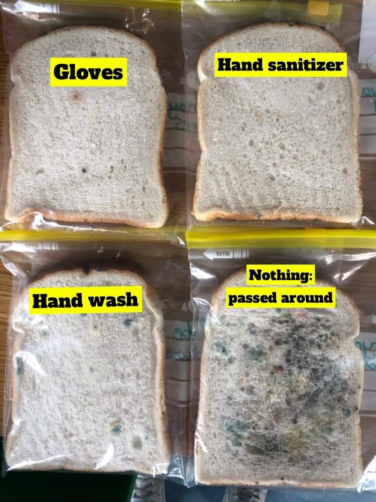 patmcardle's tweet image. My kids' primary school did this experiment in science week. Cool, isn't it? Picture, thousand words, etc. #KilsaranNS #Castlebellingham