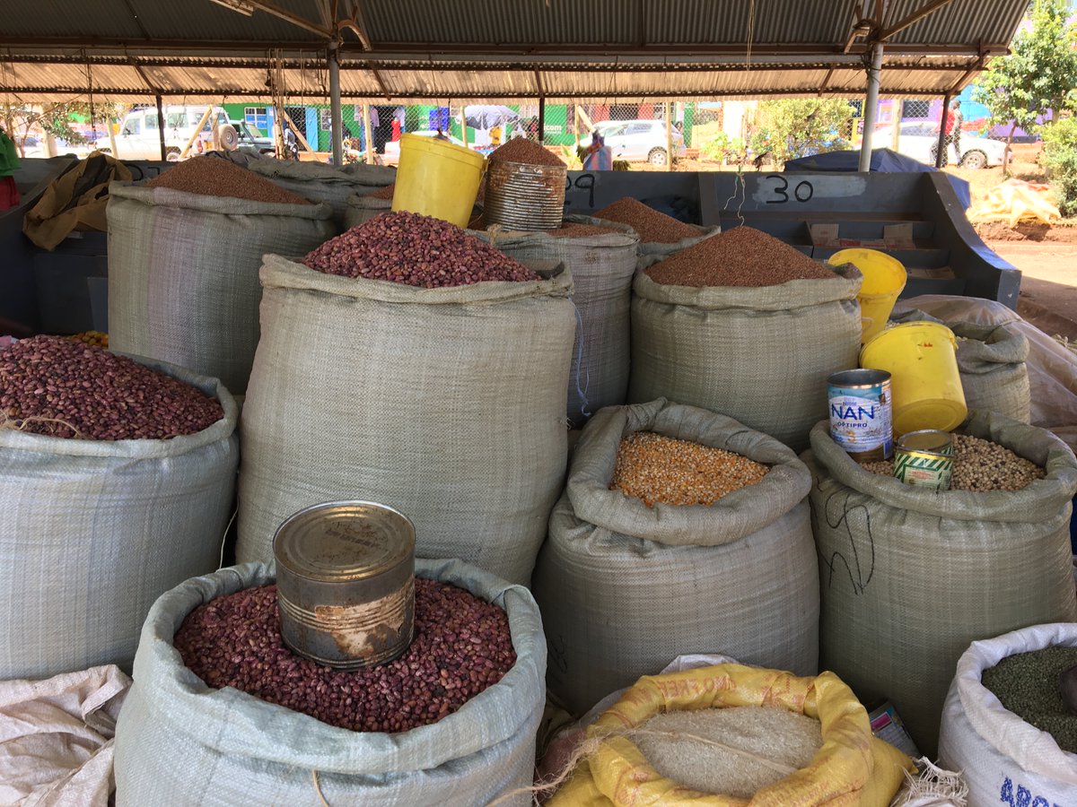 Oxford_CSAE's tweet photo. How can buyers and sellers in rural grain markets afford moisture content devices to make their maize safe from #Aflatoxin-producing fungi? @PurdueAgEcon’s Amanda Fuller and Jacob Ricker-Gilbert examine this question.

⬇️ https://t.co/PeT1OlzTqs
#EconTwitter #foodsecurity https://t.co/9ca3jDuM6I