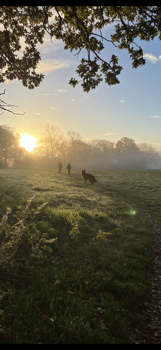 alanlawsy's tweet photo. Winter… so lucky to be able to walk / cycle / run the boys to school… have a great day everyone 🥂 https://t.co/JsWny19JJs