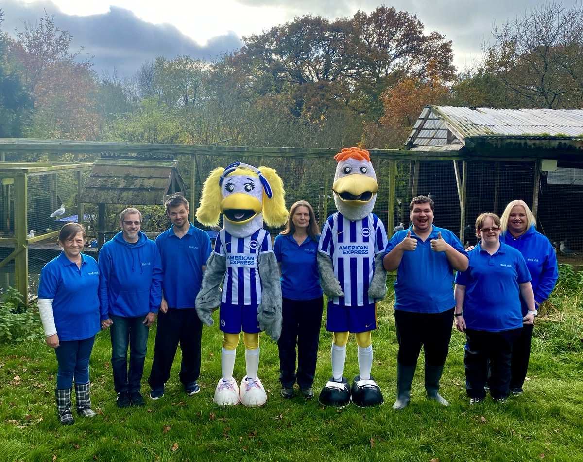 Last week I joined <a href="/OfficialBHAFC/">Brighton & Hove Albion</a> mascots Gully &amp; Sally to visit the brilliant @charitybirdaid sanctuary which provides lifelines for seagulls, wildlife &amp; learning disabled adults, but sadly is also under threat of closure. Please RT &amp; donate: justgiving.com/campaign/saveb… #SaveBirdAid