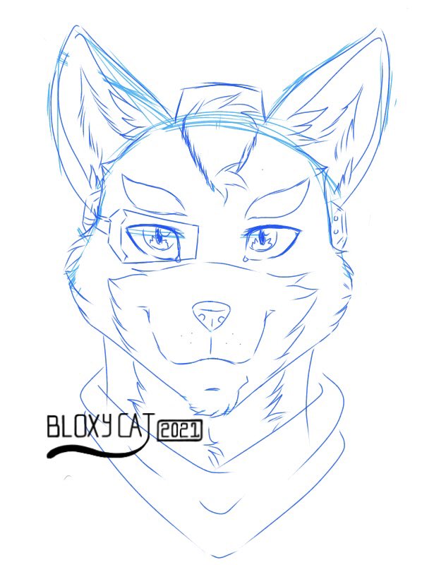 Bloxycat's tweet photo. A sketch of the main space boi. Fox McCloud π¦
#Starfox #furry #furryart #furryartist #furryartwork #illustration #illustrator #furryillustration #furryillustrator #sketch #sketches #anthro #anthroartist #anthroart #art #artwork #artist #furryfandom #furries https://t.co/pUnHINm2rn