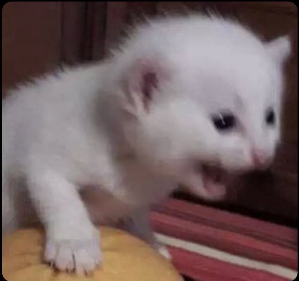 𝙏𝙃𝙀 𝘽𝙊𝙔 ✟ tweet media