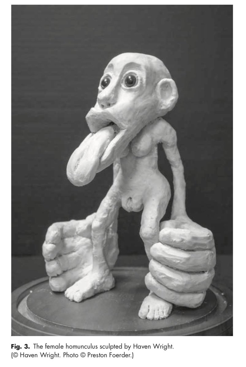 Anne Urai - @neuromatch.social/@anneurai tweet media