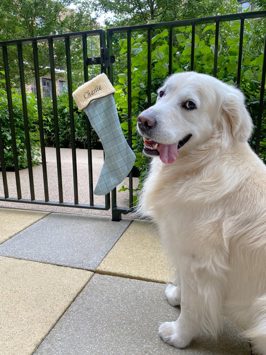 BLACK FRIDAY SALE! 
15% OFF everything on our website, offer ends Sunday 28th November 🎄