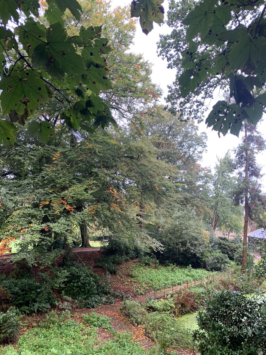 VisitFrodsham's tweet photo. #castlepark #frodsham #cheshire #visitfrodsham https://t.co/Y8CUwoBW4i
