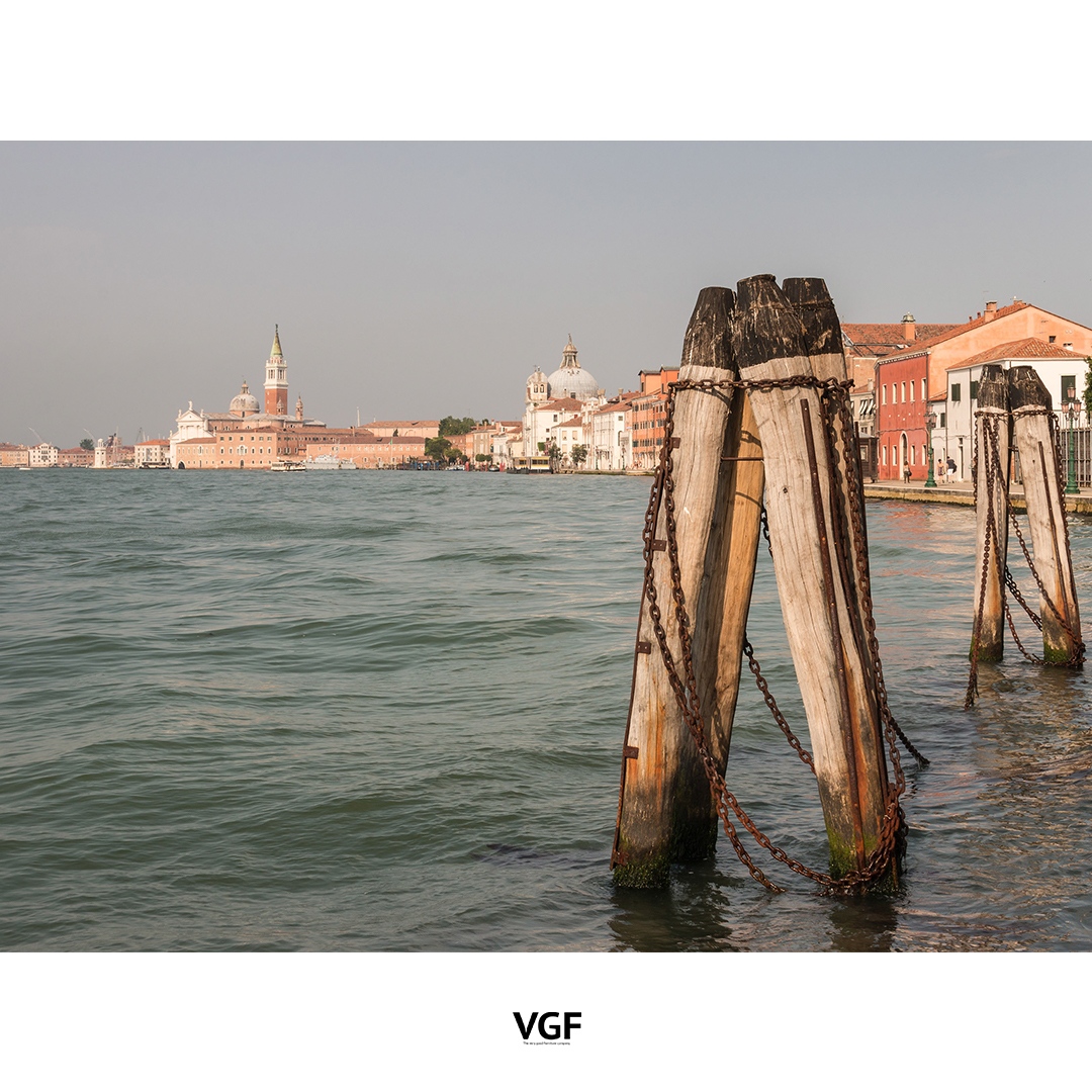 A new life for these iconic wall posts.
This piece of wood is called 'Briccole de Venise', also known as the main characters of Venice. 

Giving a new life to beautiful old materials, is what we're passionate about. 

#briccoledevenise #venice #oakwood #venetie #interieuradvies