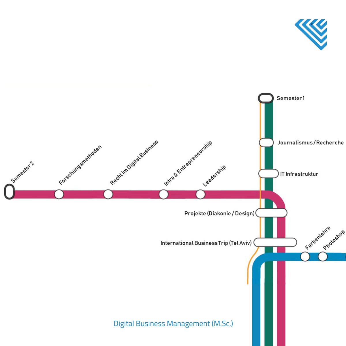 Master Digital Business Management tweet media