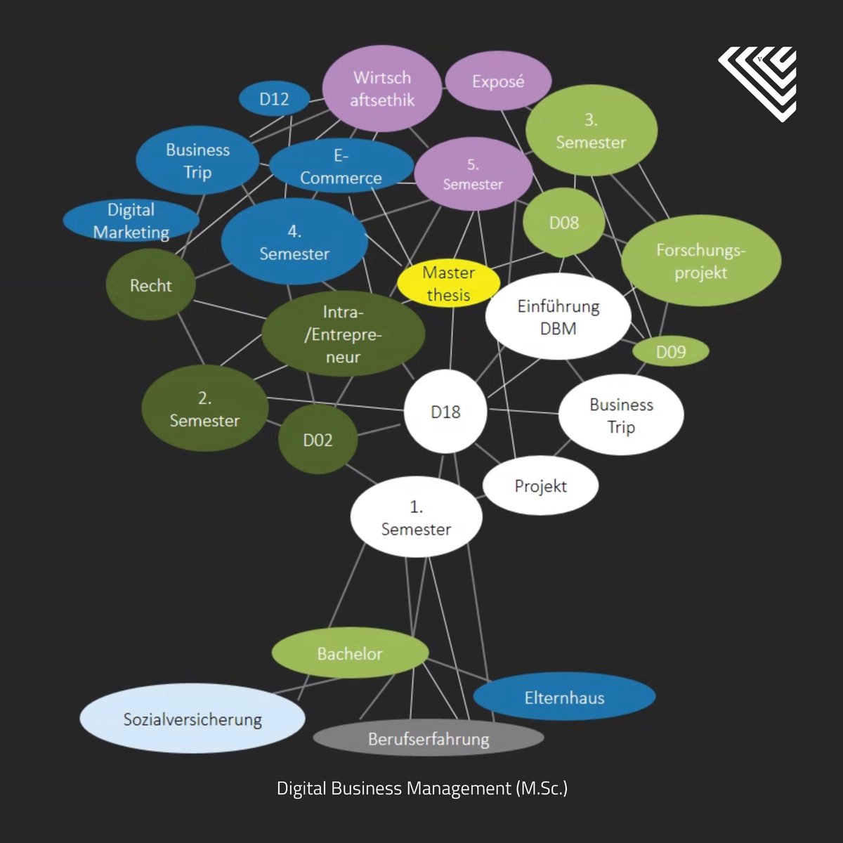 Master Digital Business Management tweet media