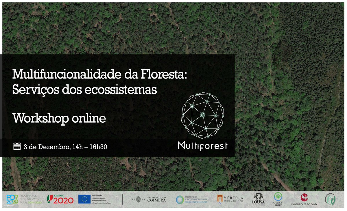WORKSHOP ONLINE 'Multifuncionalidade da Floresta: Serviços dos ecossistemas' | 3 de dezembro | 14h00 A participação é gratuita, com inscrição através do formulário: forms.gle/jP6yr3jiJicwLZ…