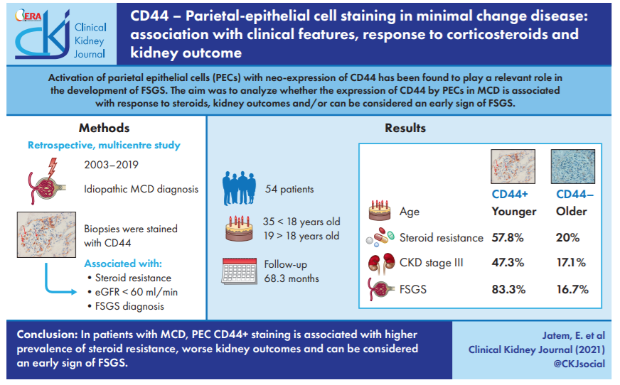 CKJsocial's tweet photo. 🆕CD44 – parietal-epithelial cell staining in minimal change disease: association with clinical features, response to corticosteroids and kidney outcome 
📖https://t.co/ydlpgm7dA4👈 https://t.co/jS6wsNQ01e