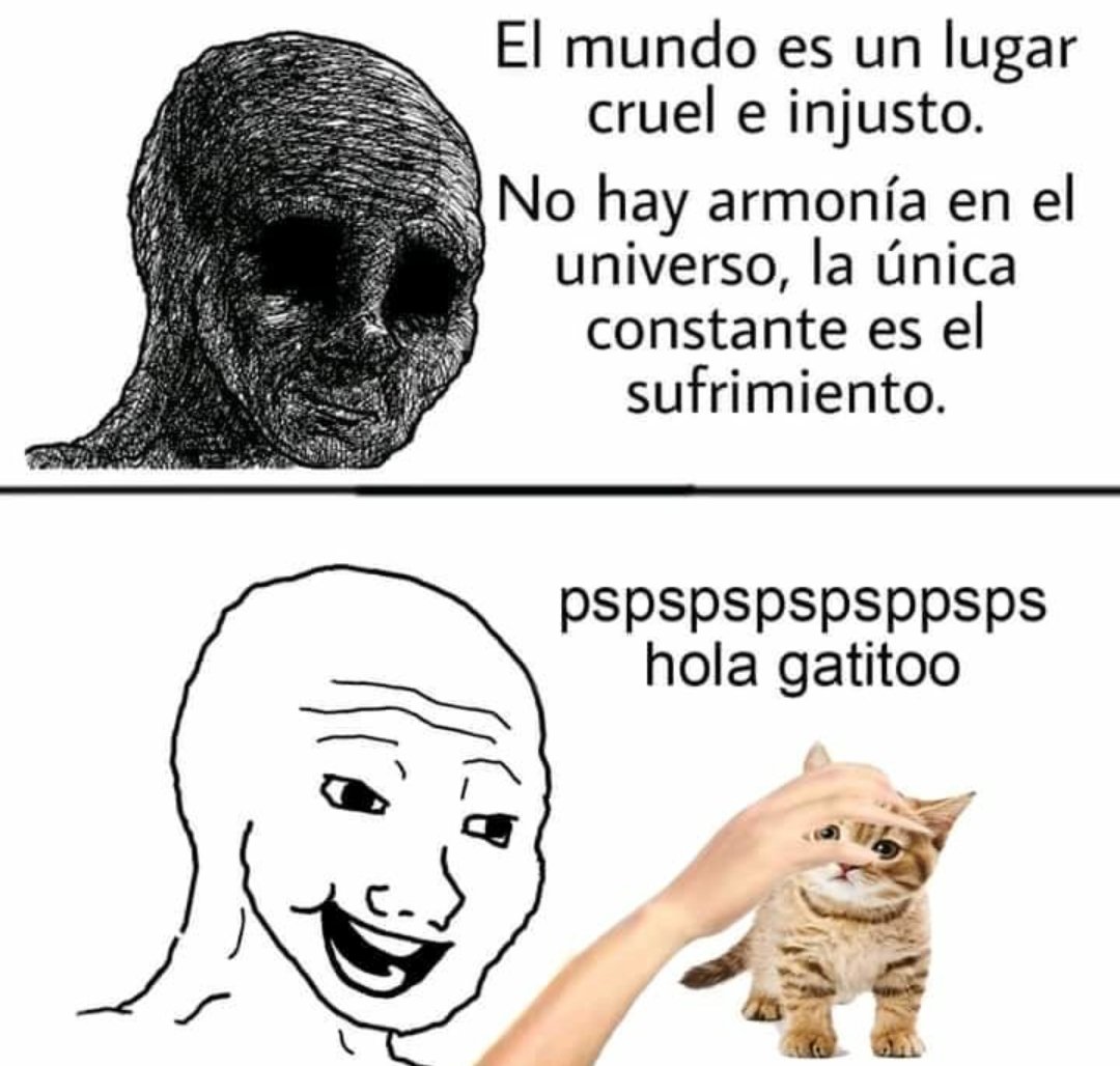 skereunpesado's tweet photo. https://t.co/gu3HXb9256