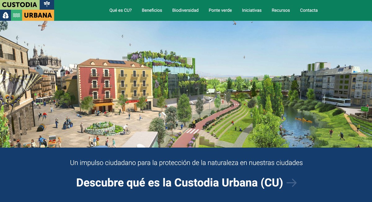 La ciudad 🏨🏗️alberga multitud de seres vivos🦋🌳🐜🐞🦎🐛🦆🌻🌿🪲☘️🐝🐦 Solo hay que pararse a observar con atención🔎y descubriremos👀, con sorpresa, todo un ecosistema y su biodiversidad💚

#custodiaurbana #custodiadelterritorio
👉custodiaurbana.org