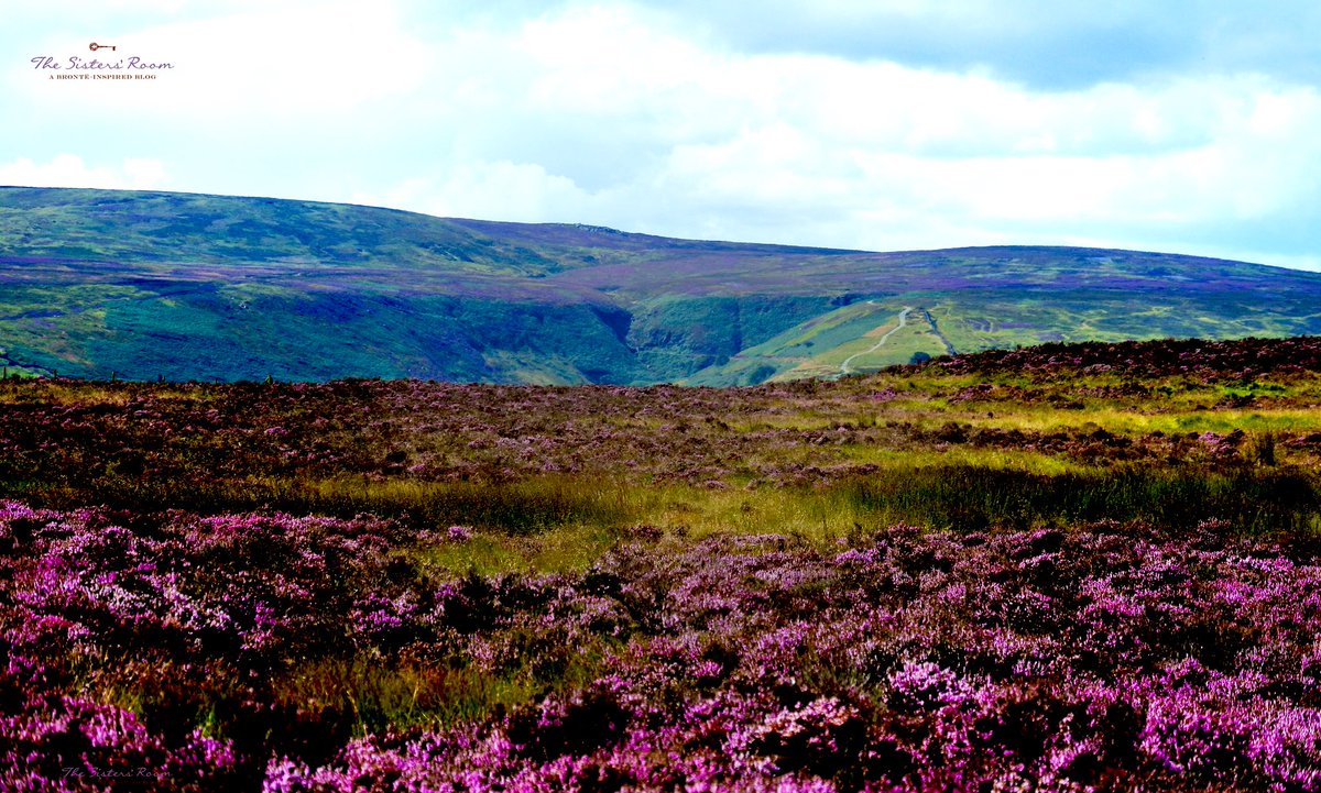 Out on the wily, windy moors..