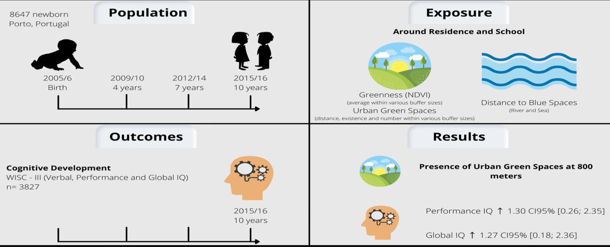 Ana Isabel Ribeiro tweet media