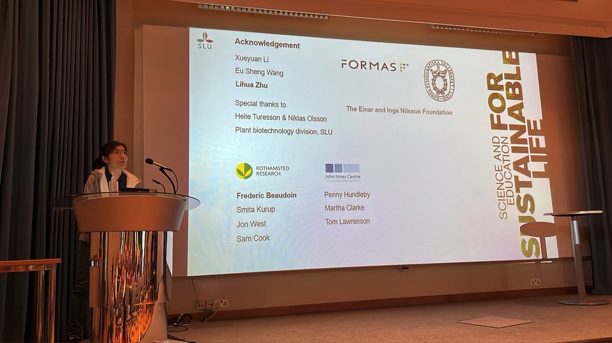 Rui Guan from Rothamsted Research has shared her research on ‘Genome editing and regeneration of Brassica napus protoplasts’ with us, viability x transfection x editing x regeneration = gene-edited plant, bottleneck is tackled!