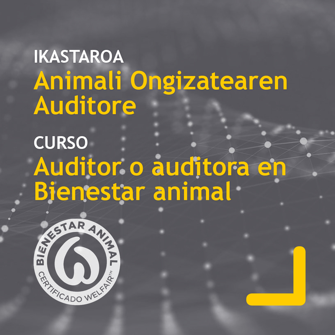 neiker_BRTA's tweet photo. 🐏Animalia Ongizateko auditore izan nahiko zenuke? Gizendegietako #arkume-en ongizateari buruzko Welfair™ - Ziurtagiria.
🐑¿Te gustaría ser auditor o auditora en #BienestarAnimal? Certificación Welfair™ en bienestar de #corderos en cebadero.
ℹ️ibeltran@neiker.eus https://t.co/5WPtVr76bC