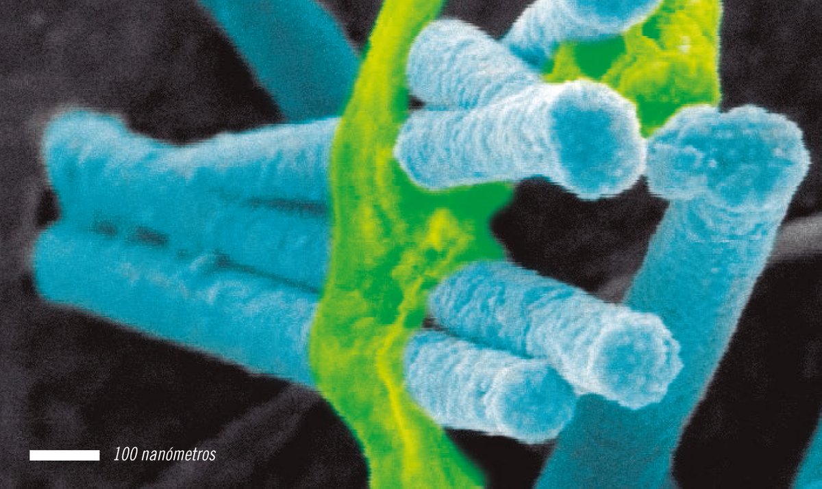 ByAxon_Project tweet media