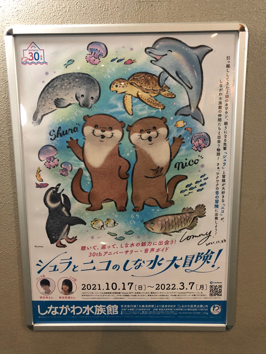 Shinagawa_Aqua's tweet photo. 「#シュラとニコのしな水大冒険！」のイラストを描いていただいた #Lommy 様から素敵なプレゼントを頂きました✨
このサプライズ💐にシュラとニコも大喜び🎉
感謝を込めて記念撮影📸ありがとうございました🌟
(色紙は水族館入口に掲出させていただきました)
#しながわ水族館 https://t.co/iFF4siIj95