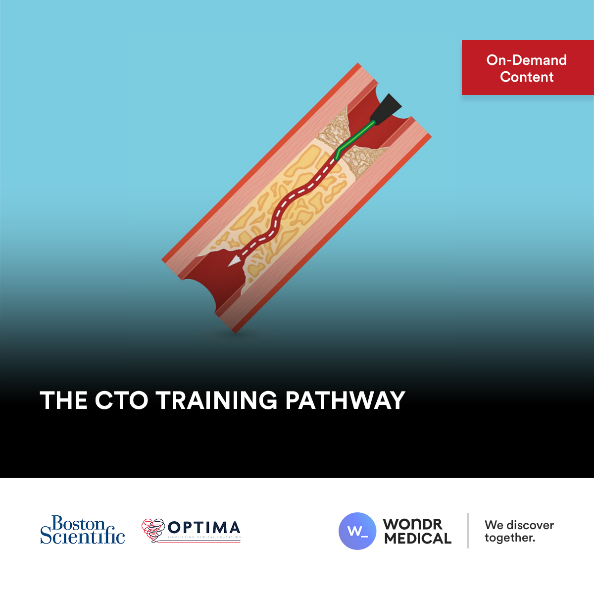 Optima Education tweet media